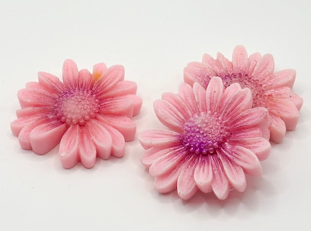 Daisy Soy Wax  Melts