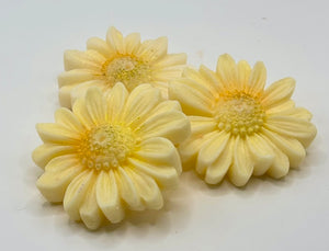 Daisy Soy Wax  Melts